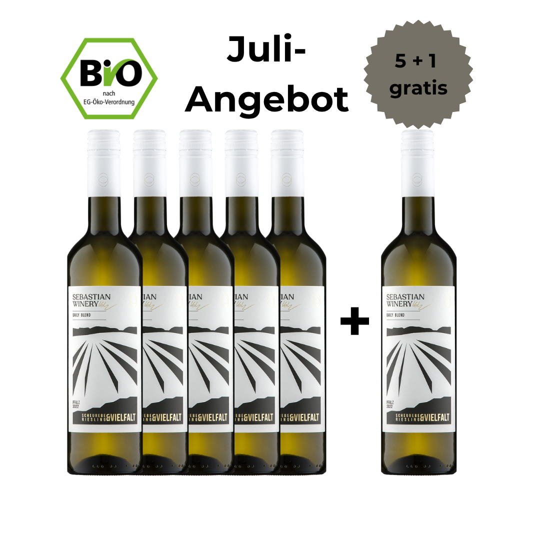 Merlot - 5 + 1 Offer