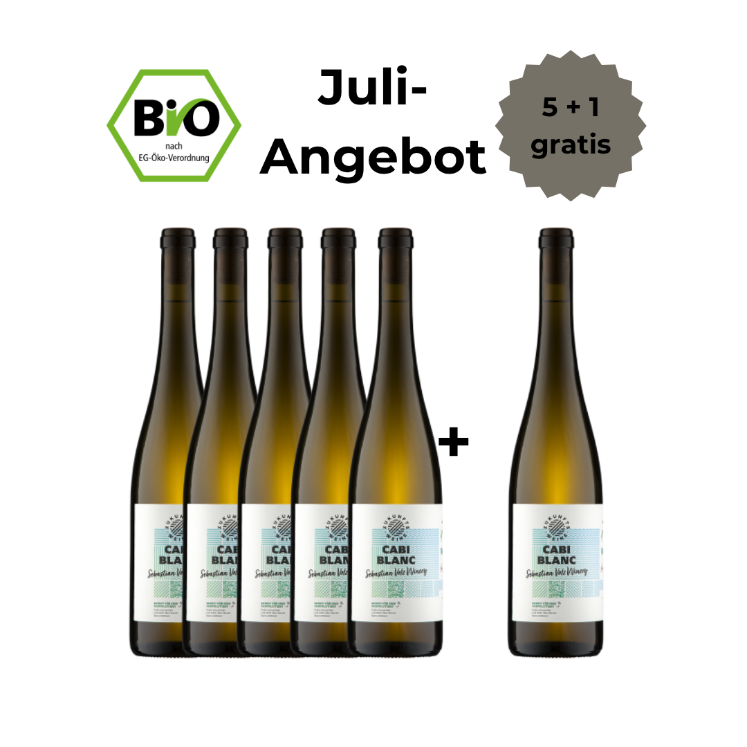 Merlot - 5 + 1 Offer