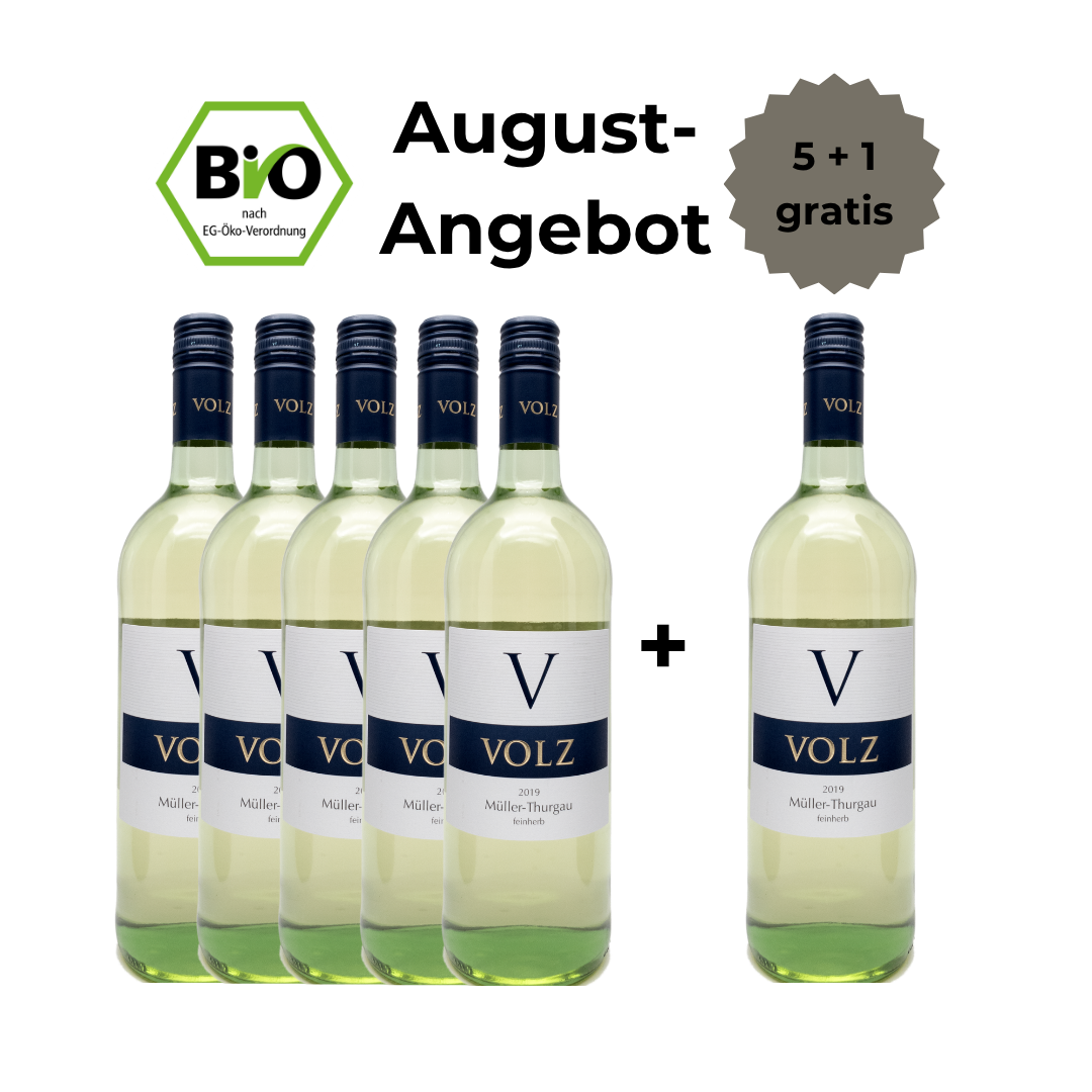 Merlot - 5 + 1 Offer
