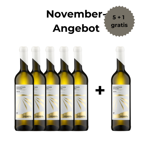 Grand Vue Blanc - fumé trocken - 5+1 Angebot
