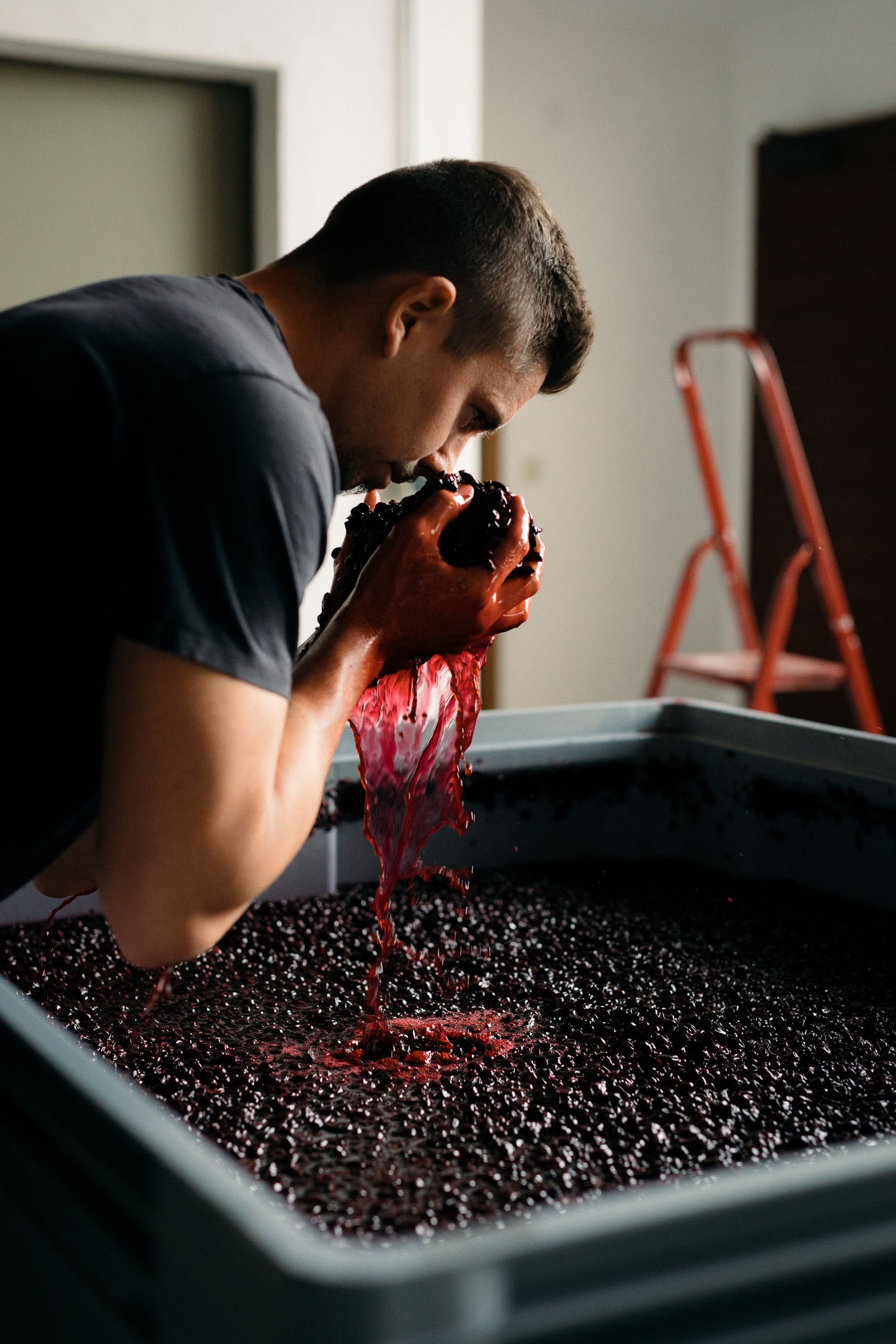 Kellermeister beim bearbeiten der Rotwein Maische