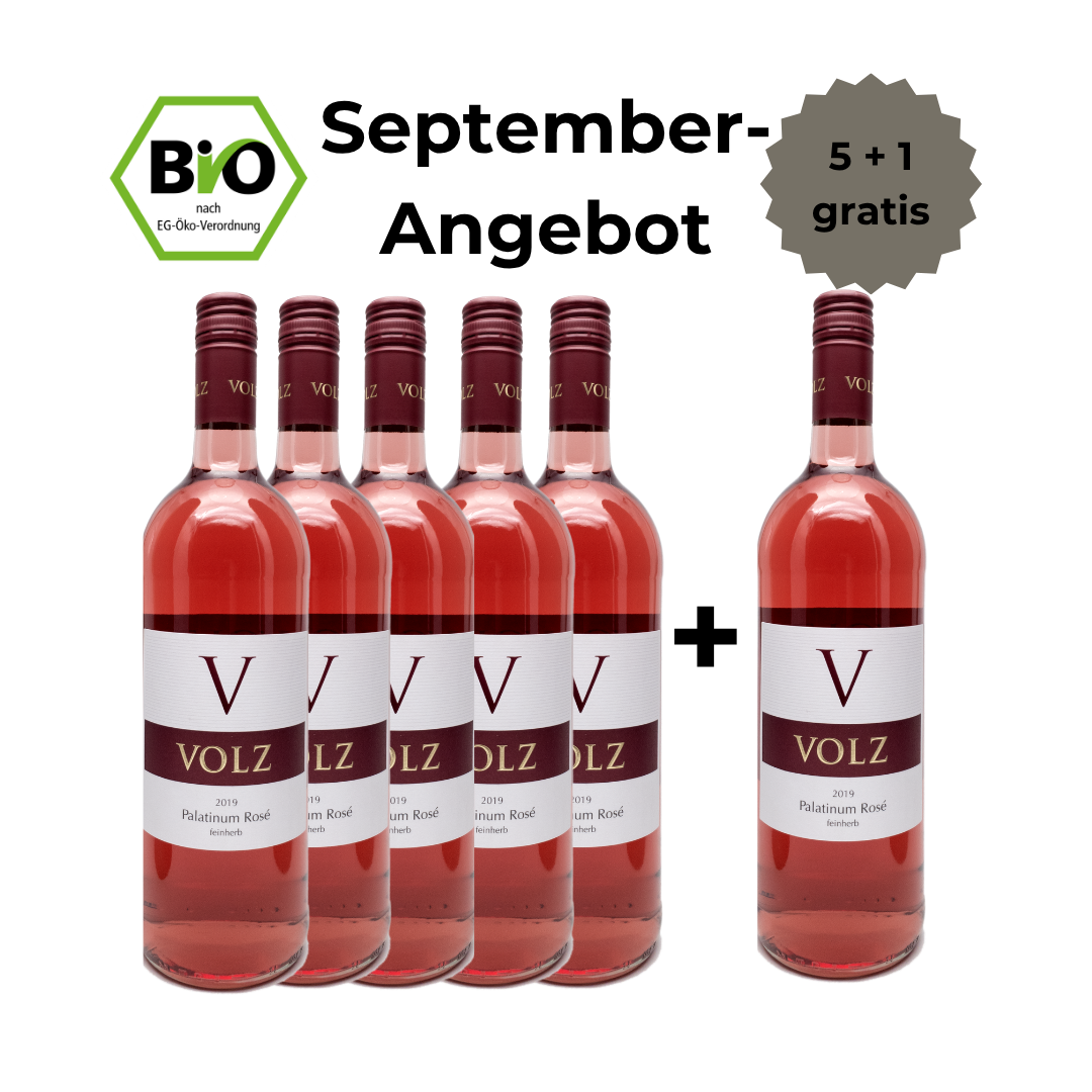 Palatinum Rosé - feinfruchtig - BIO - 5 + 1 Angebot