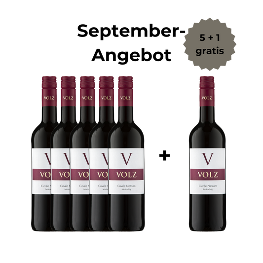 Cuvée Nexum - feinfruchtig - 5 + 1 Angebot