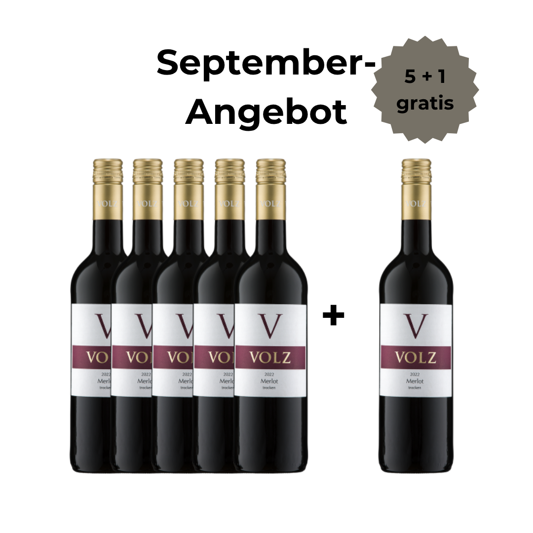 Merlot - trocken - 5 + 1 Angebot