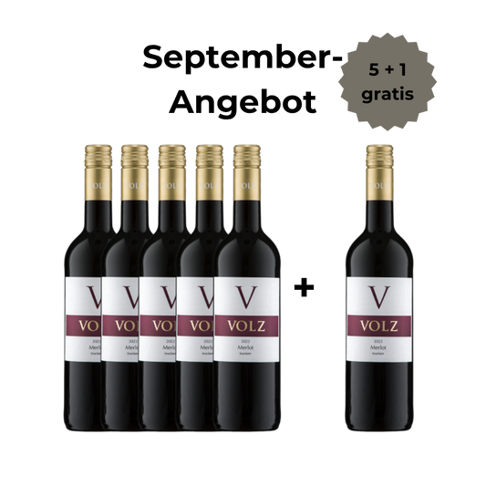 Merlot - trocken - 5 + 1 Angebot