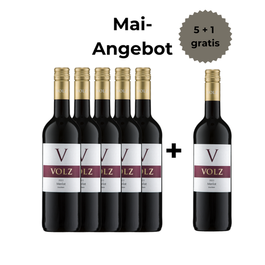 Merlot - trocken 5+1 Angebot