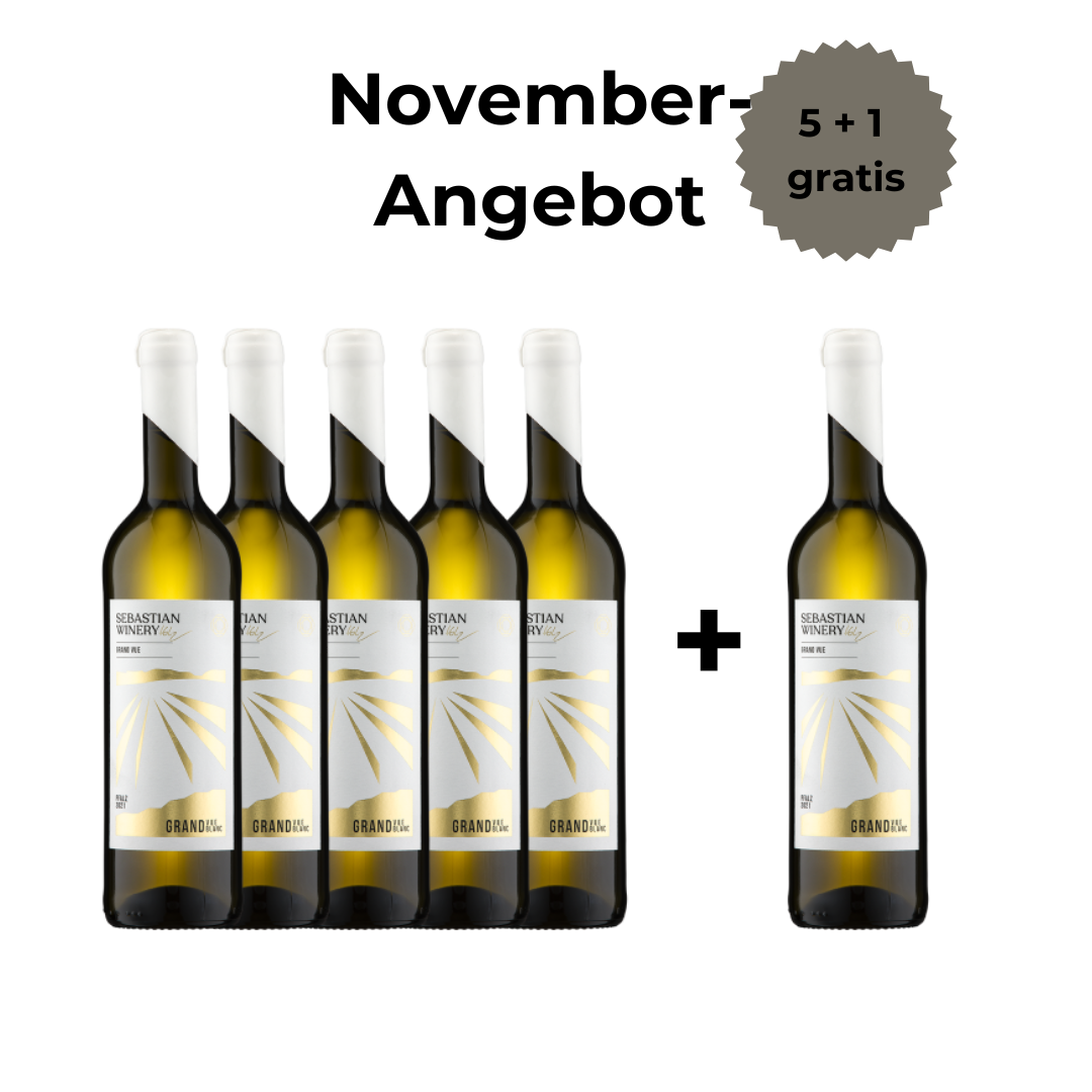 Grand Vue Blanc - fumé trocken - 5+1 Angebot