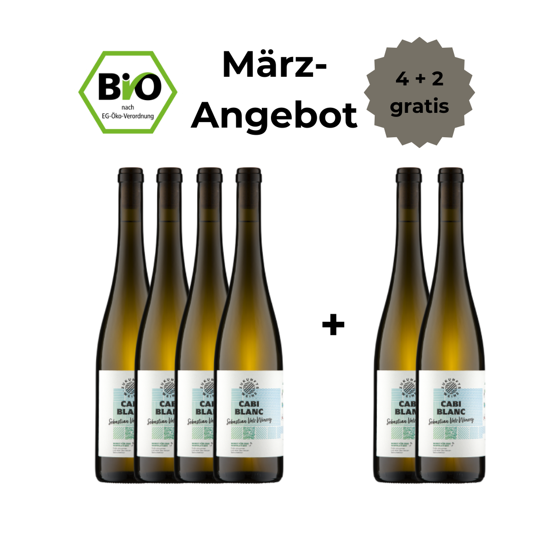 Cabi Blanc - 4 + 2 Angebot