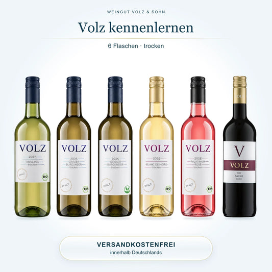 Volz kennenlernen – trocken: 6 Flaschen im Weinpaket, Versand innerhalb Deutschlands inklusive