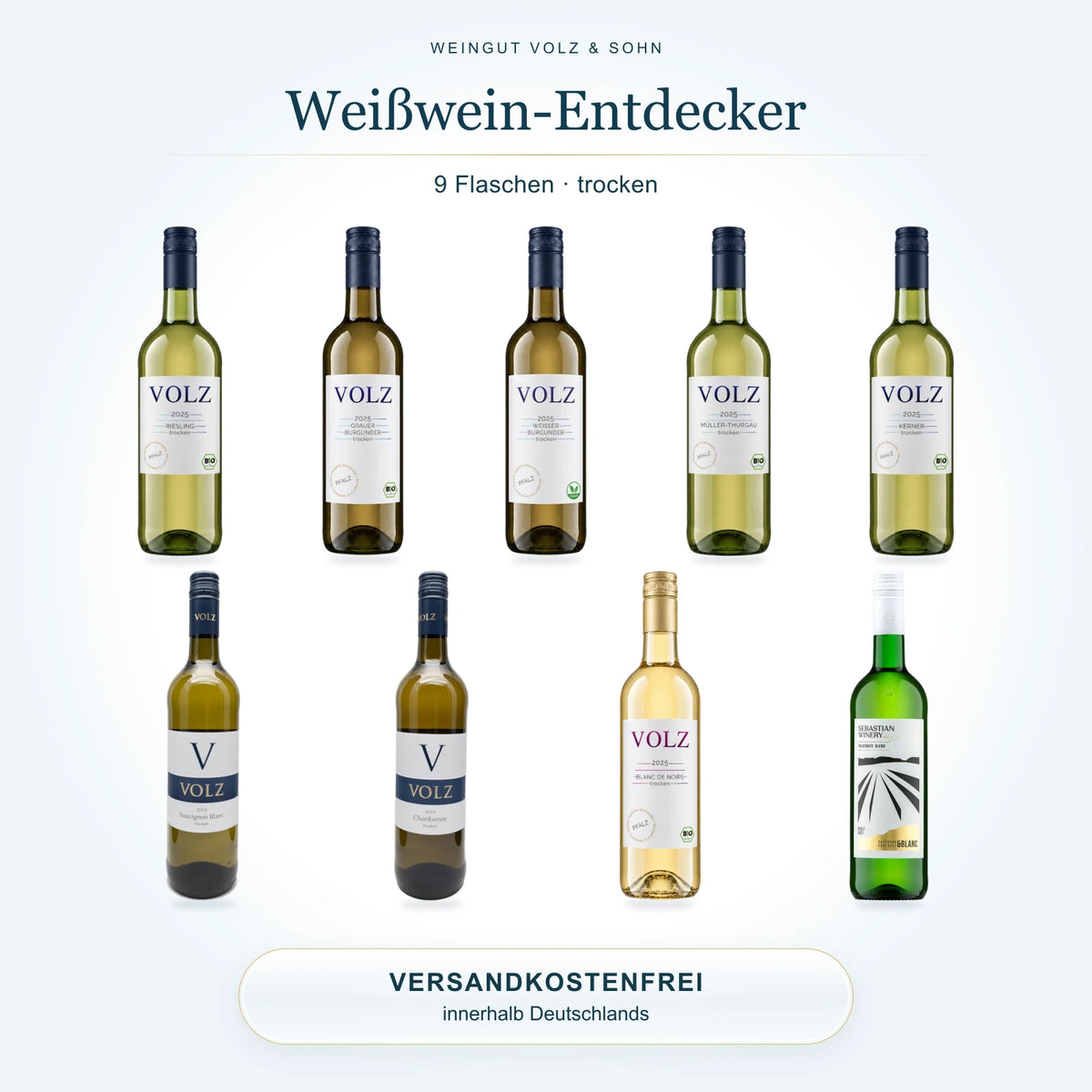 Weißwein-Entdecker – trocken: 9 Flaschen im Weinpaket, Versand innerhalb Deutschlands inklusive