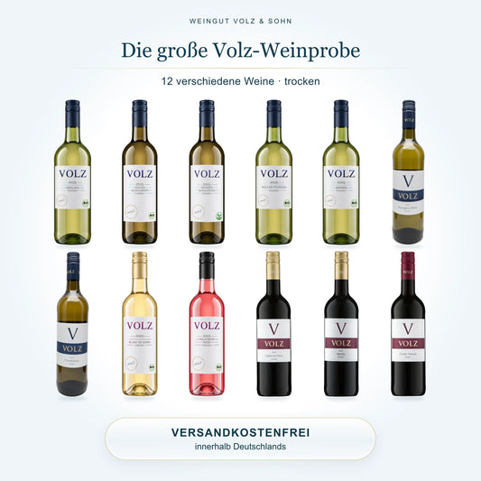 Die große Volz-Weinprobe – trocken: 12 Flaschen im Weinpaket, Versand innerhalb Deutschlands inklusive