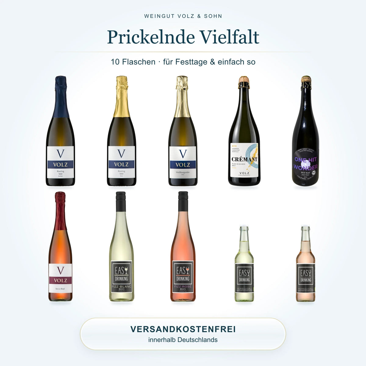 Prickelnde Vielfalt – für Festtage & einfach so: 10 Flaschen im Weinpaket, Versand innerhalb Deutschlands inklusive