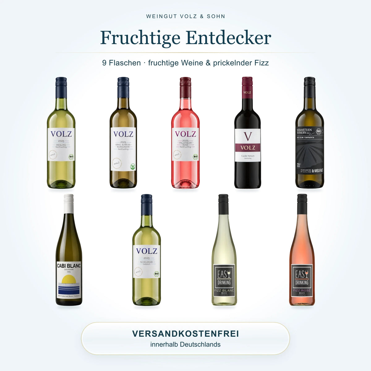 Fruchtige Entdecker – Wein & Fizz: 9 Flaschen im Weinpaket, Versand innerhalb Deutschlands inklusive